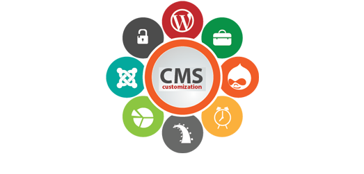 CMS Website Development in qatar