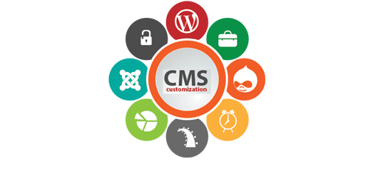 CMS Website Development